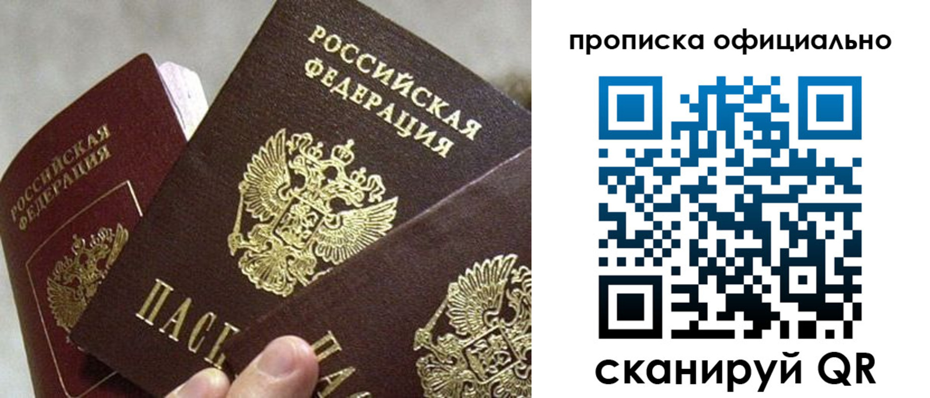 прописка гарантия в Саранске